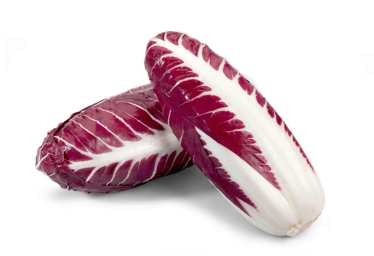 RADICCHIO LUNGO