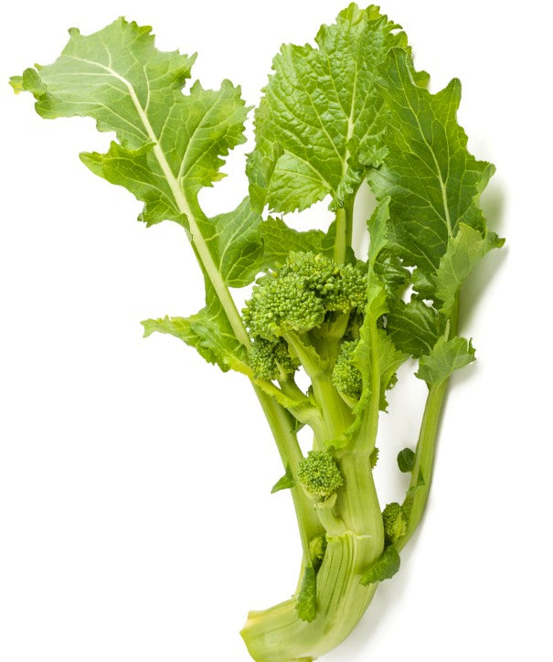 CIME DI RAPA